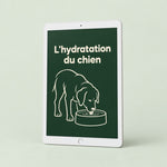 E-book : l’hydratation du chien